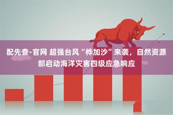配先查-官网 超强台风“桦加沙”来袭，自然资源部启动海洋灾害四级应急响应