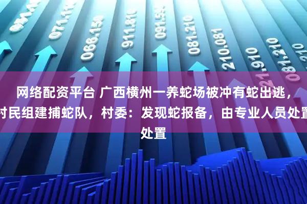 网络配资平台 广西横州一养蛇场被冲有蛇出逃，村民组建捕蛇队，村委：发现蛇报备，由专业人员处置